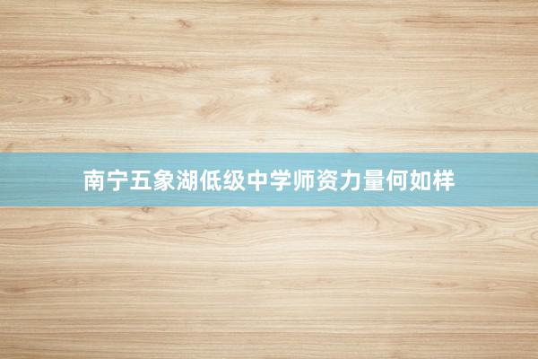 南宁五象湖低级中学师资力量何如样