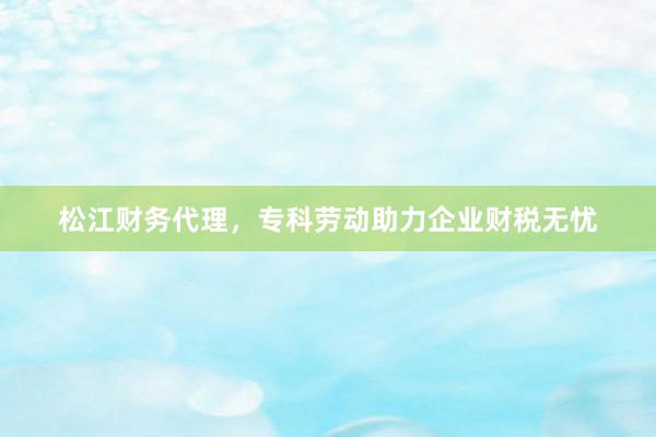 松江财务代理，专科劳动助力企业财税无忧