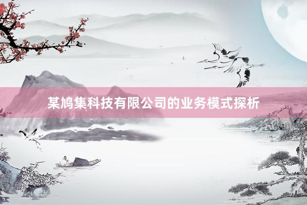 某鸠集科技有限公司的业务模式探析