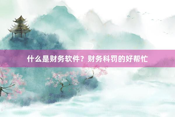 什么是财务软件？财务科罚的好帮忙