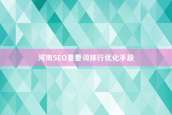 河南SEO重要词排行优化手段