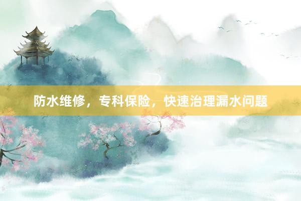 防水维修，专科保险，快速治理漏水问题