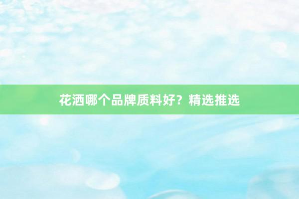 花洒哪个品牌质料好？精选推选