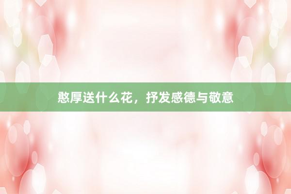 憨厚送什么花，抒发感德与敬意