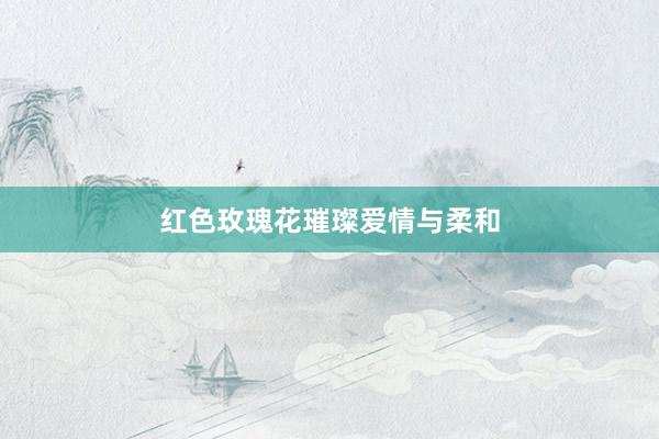 红色玫瑰花璀璨爱情与柔和