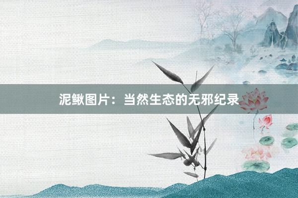 泥鳅图片：当然生态的无邪纪录